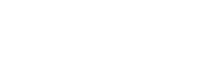 Noosa Footwear
